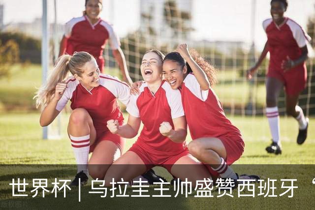 世界杯 | 乌拉圭主帅盛赞西班牙“精致足球”