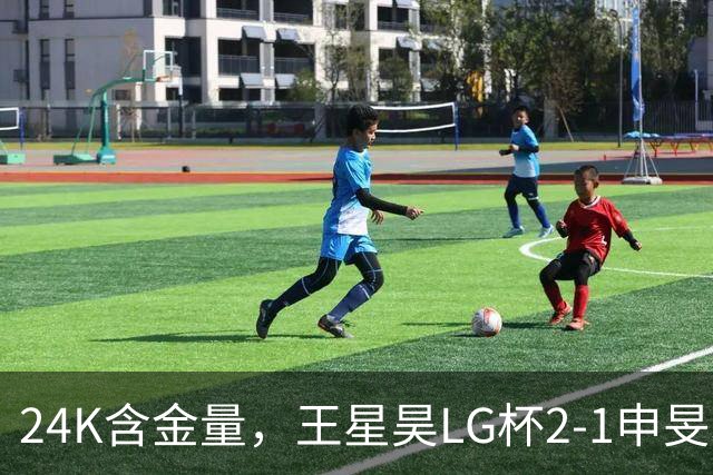 24K含金量，王星昊LG杯2-1申旻埈夺冠，局局领先大杀四方，中国围棋锐度提升
